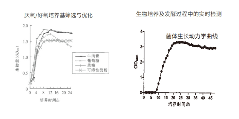 過程安全，結果精準