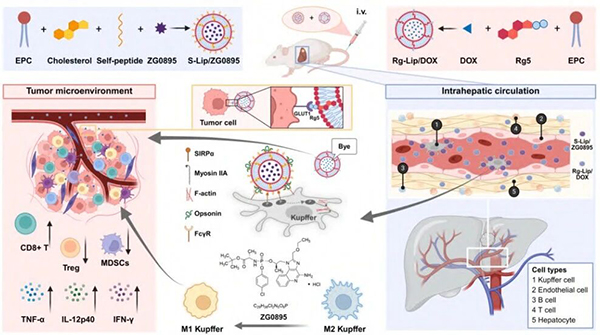 微信圖片_2026-01-22_133655_418